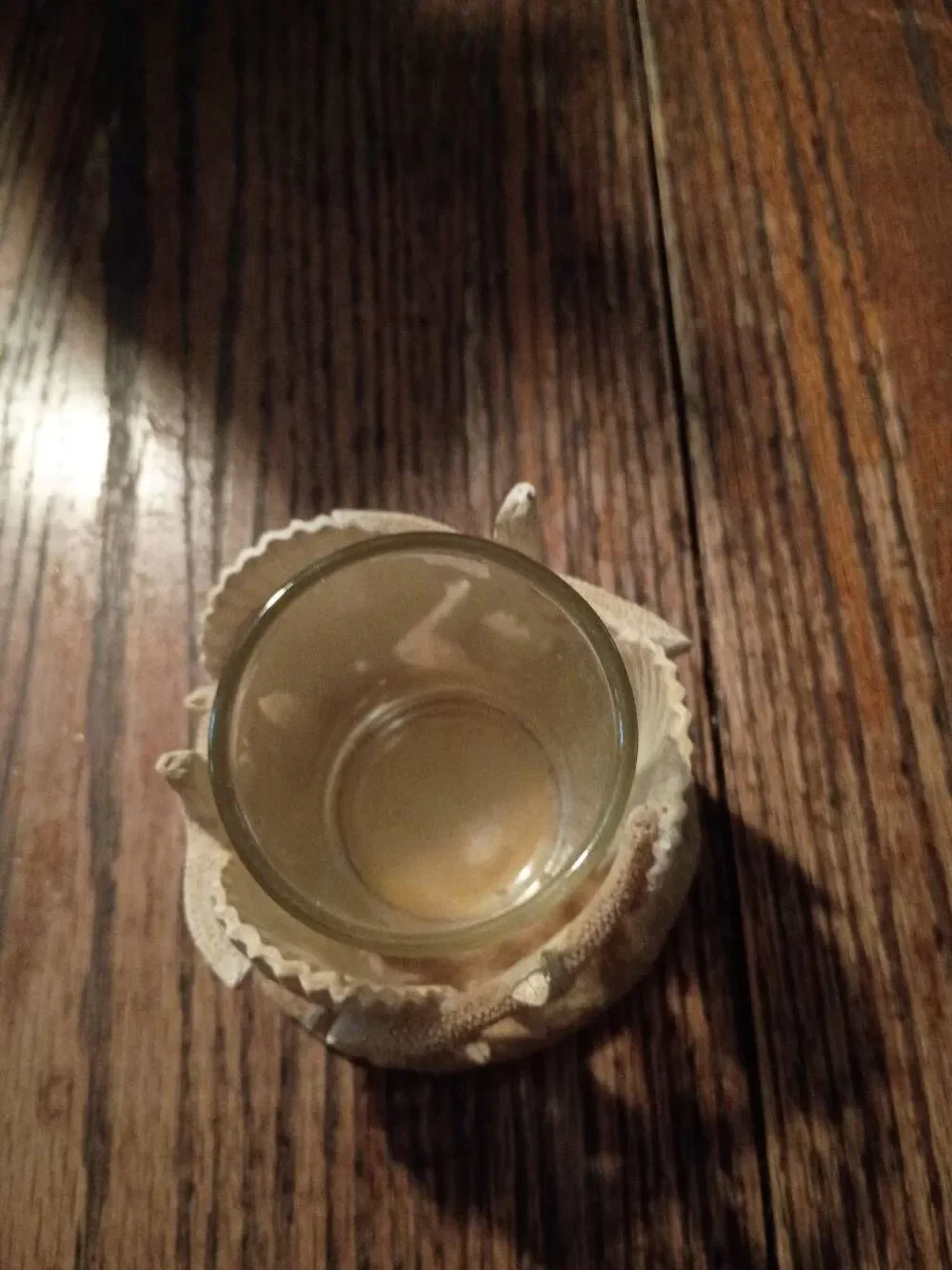 Yankee Candle Starfish Seashell Votive Holder Coastal Beach Nautical Decor